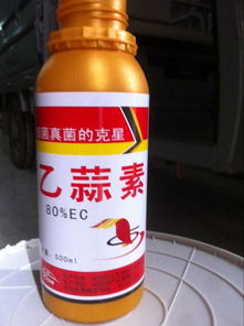 功能性茶飲料的研制與市場前景分析